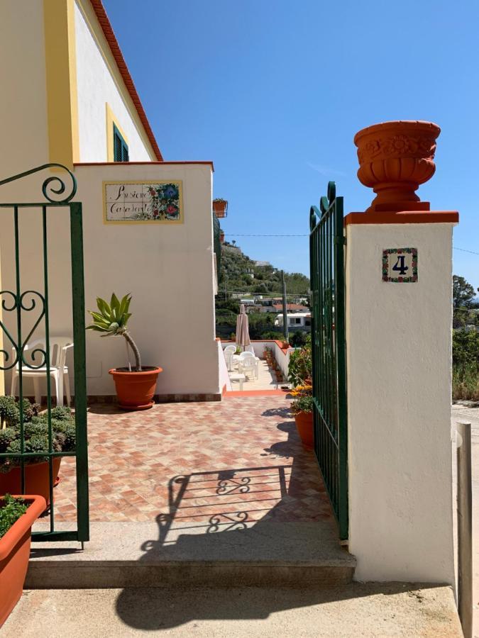 Pensione Casa Verde Sant'Angelo  Zewnętrze zdjęcie